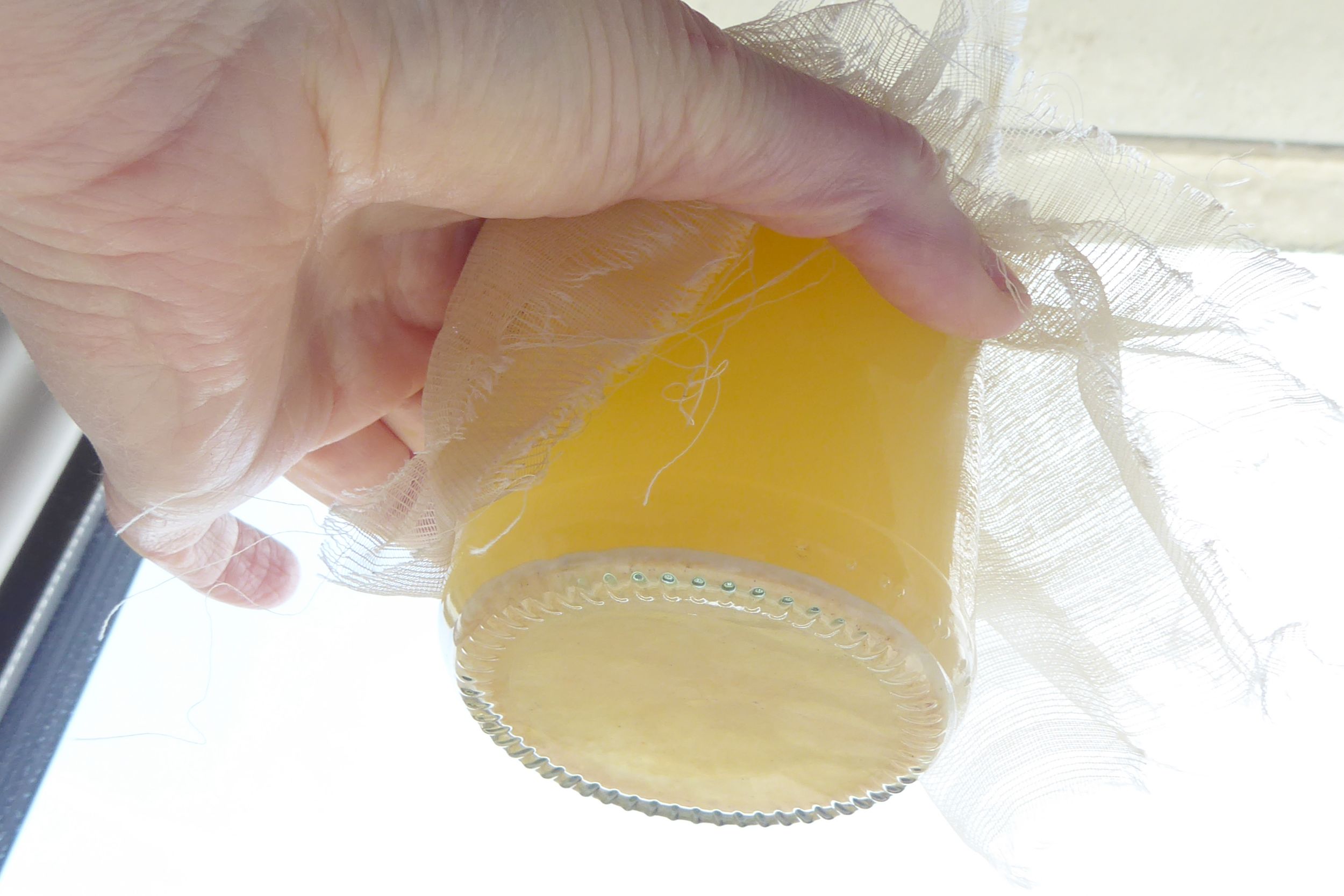 Yeast sediment in jar