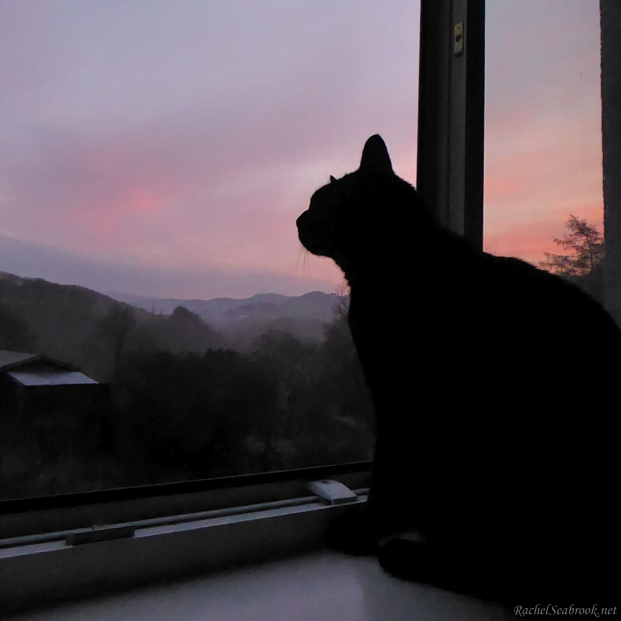 George with sunrise