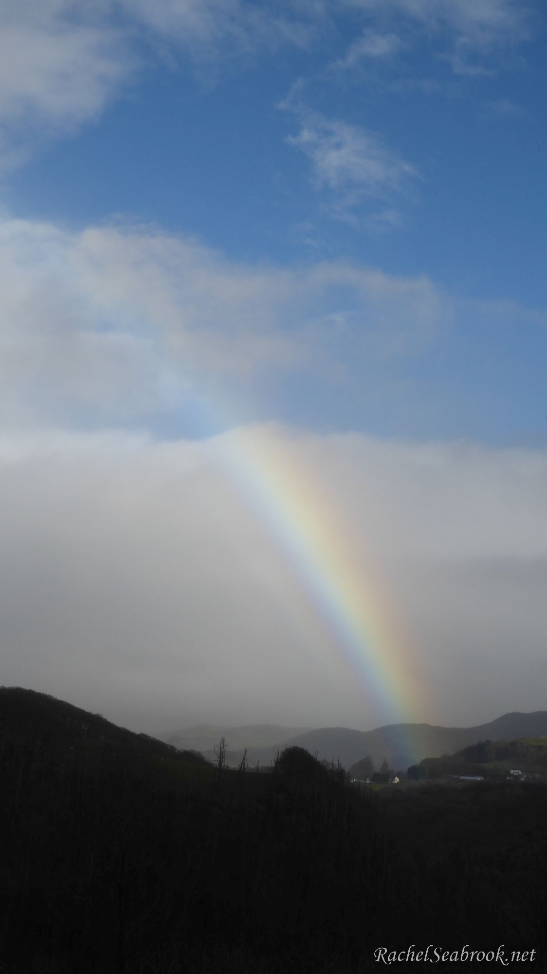 rainbow